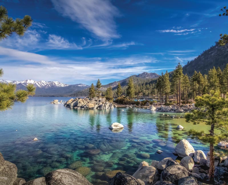 Vector Smart Object-4 Vector Smart Object-4